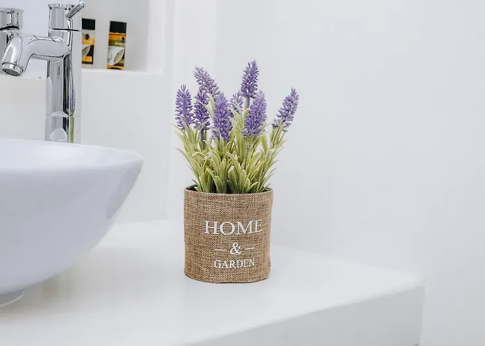 Xerolithos Natural Living Orman Evi *