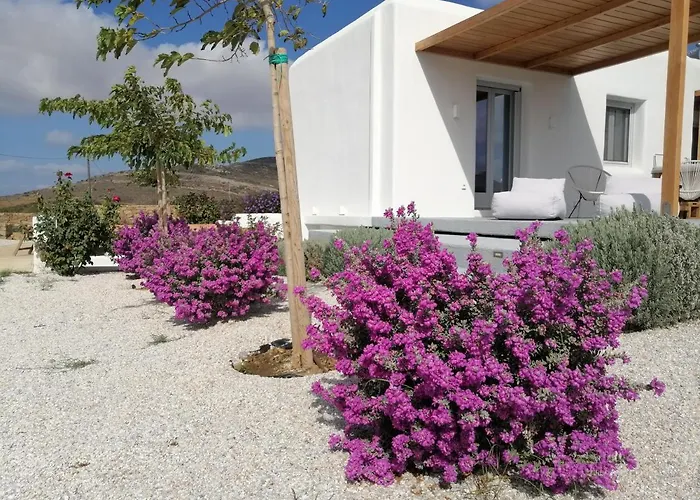 Xerolithos Natural Living Orman Evi