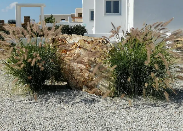 Orman Evi Xerolithos Natural Living