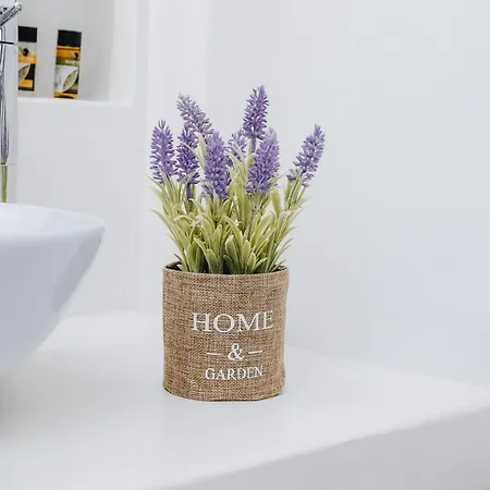 Xerolithos Natural Living Hytte *