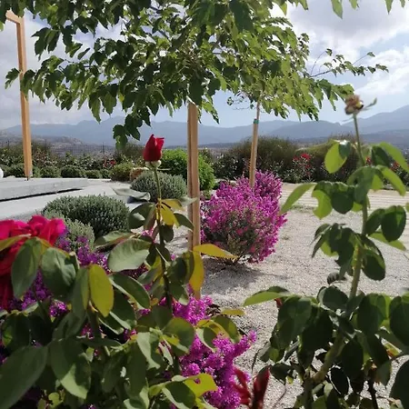 Xerolithos Natural Living Kato Sangrion