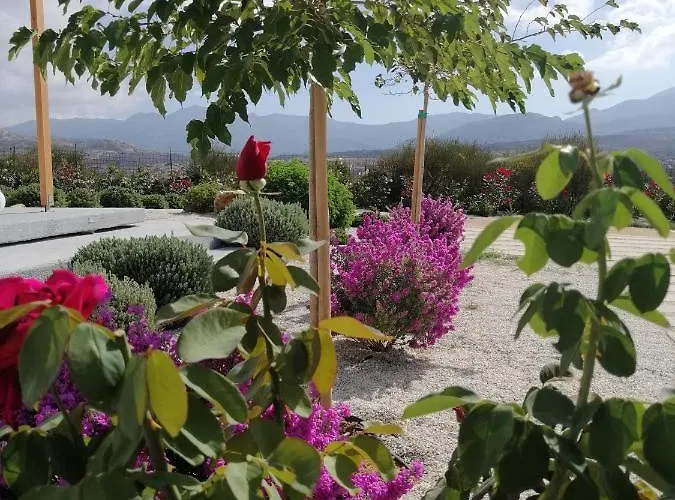 Xerolithos Natural Living Kato Sangrion